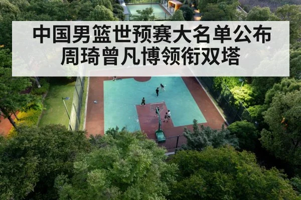 Chinese basketball team